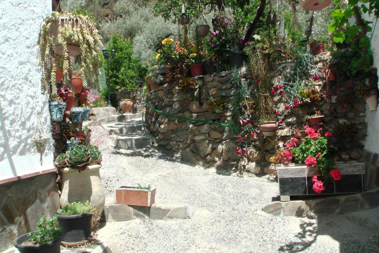 בית הארחה אורגיווה 	La Granada מראה חיצוני תמונה