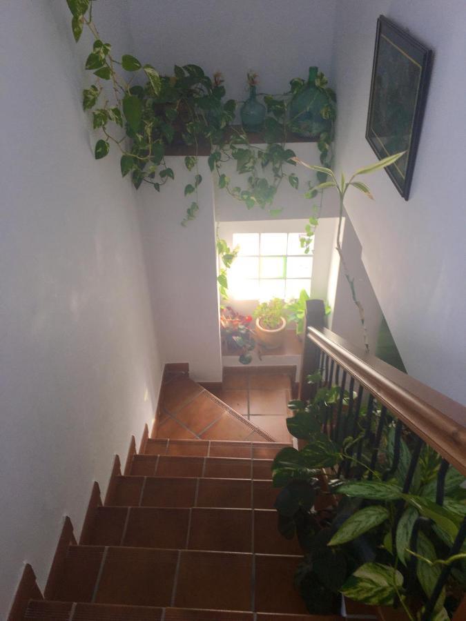 בית הארחה אורגיווה 	La Granada מראה חיצוני תמונה